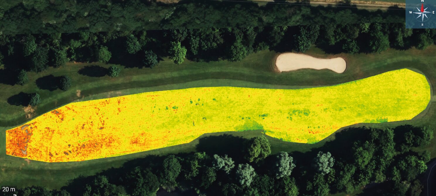 NDVI Analyse